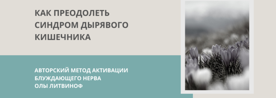 Как преодолеть синдром дырявого кишечника [Ола Литвиноф]