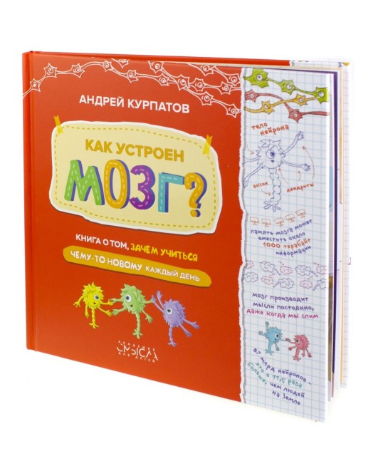 Как устроен мозг [Андрей Курпатов]