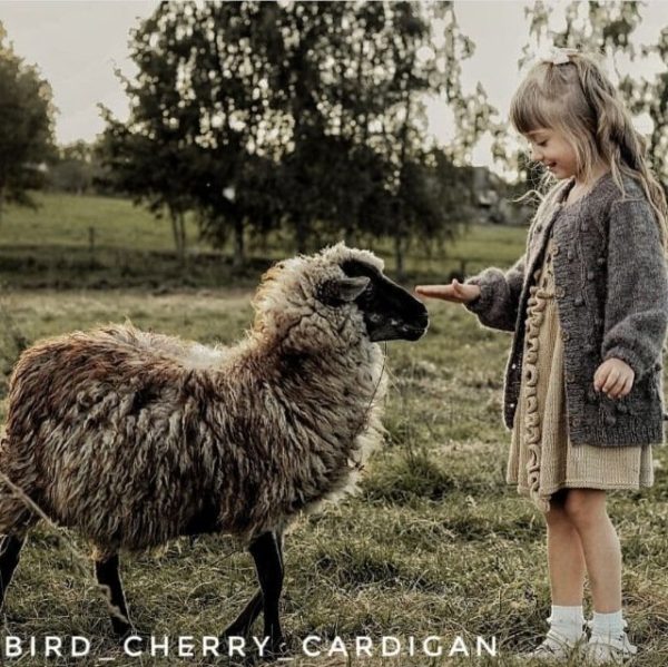 Кардиган детский Bird cherry [Марина Аюева]