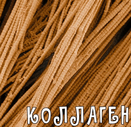 Коллаген от А до Я [Валерий Подрубаев]