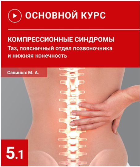 Компрессионные синдромы таза, поясничного отдела позвоночника и нижней конечности [Михаил Савиных]
