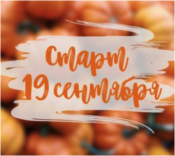 [konfect] Sweet autumn [Ксения Нохрина]