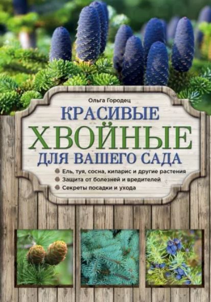 Красивые хвойные для вашего сада [Ольга Городец]