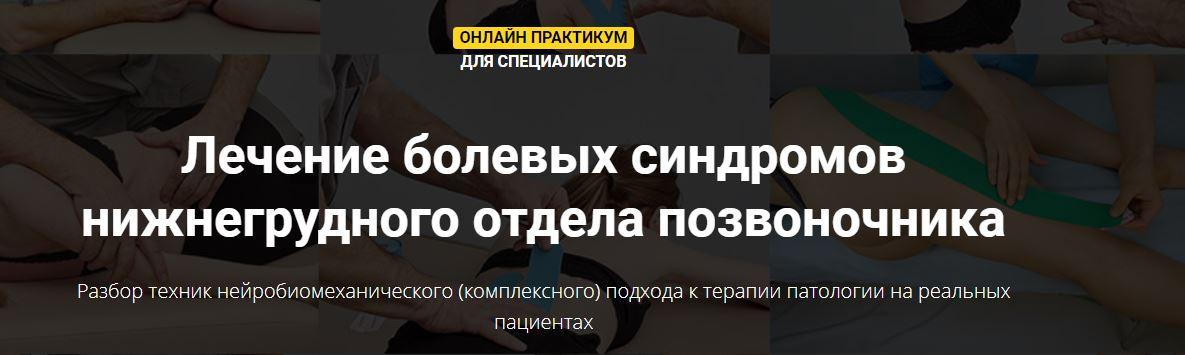 Лечение болевых синдромов нижнегрудного отдела позвоночника [Фидель Субботин]