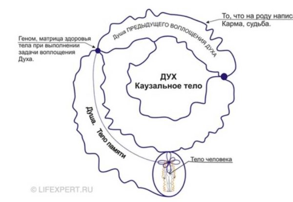 [Lifexpert] Инфокоррекция программ прошлых жизней [Вячеслав Губанов  Дмитрий Губанов]
