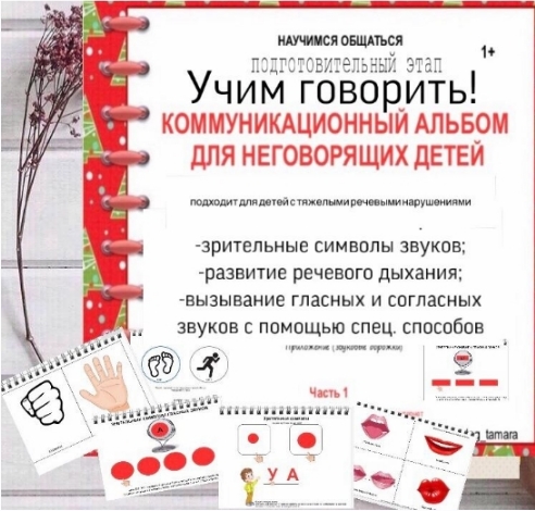 [logoprofy] Коммуникационный альбом Запуск речи  [Тамара Назаревская]
