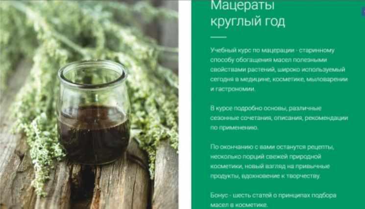 Мацераты круглый год [Мария Разнер]