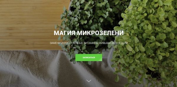 Магия микрозелени [Ольга Халина]