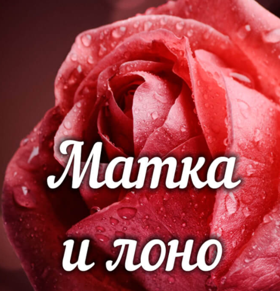 Матка и лоно. Практика [Алёна Полынь]