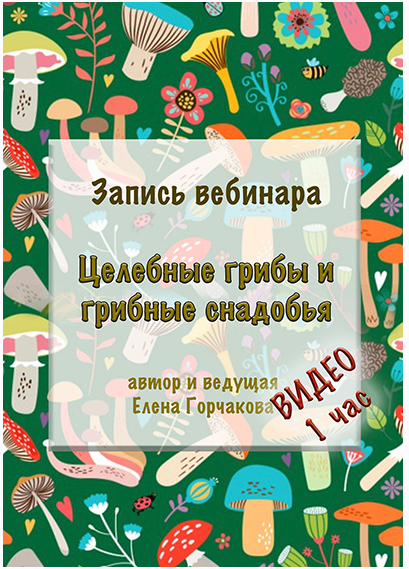 [Медвежий угол] Целебные грибы и грибные снадобья  1 час видео [Елена Горчакова]