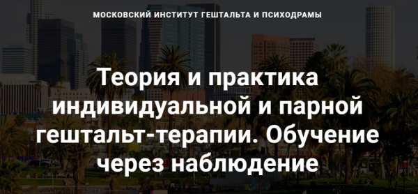 [МИГИП] Теория и практика индивидуальной и парной гештальт-терапии. Пакет Basic [Роберт Резник]