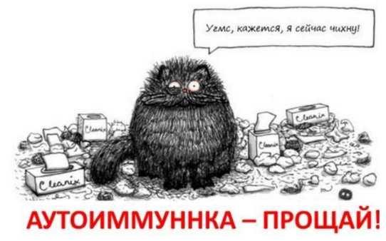 [Moveat] Аутоиммунка, прощай [Макс Погорелый]