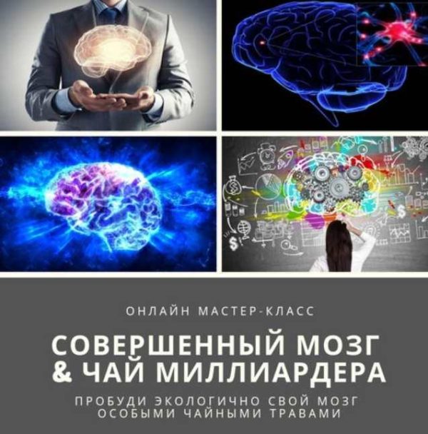 [Мудрость трав Академия фитонутрициологии] Совершенный мозг & Чай миллиардера [Юрий Курский]