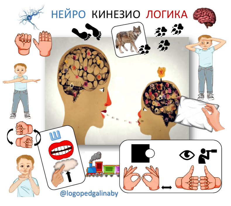Нейро Кинезио Логика [logopedgalinaby]