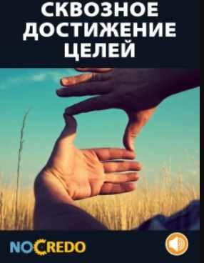 [NoCredo] Сквозное достижение целей [Дмитрий Богданов]
