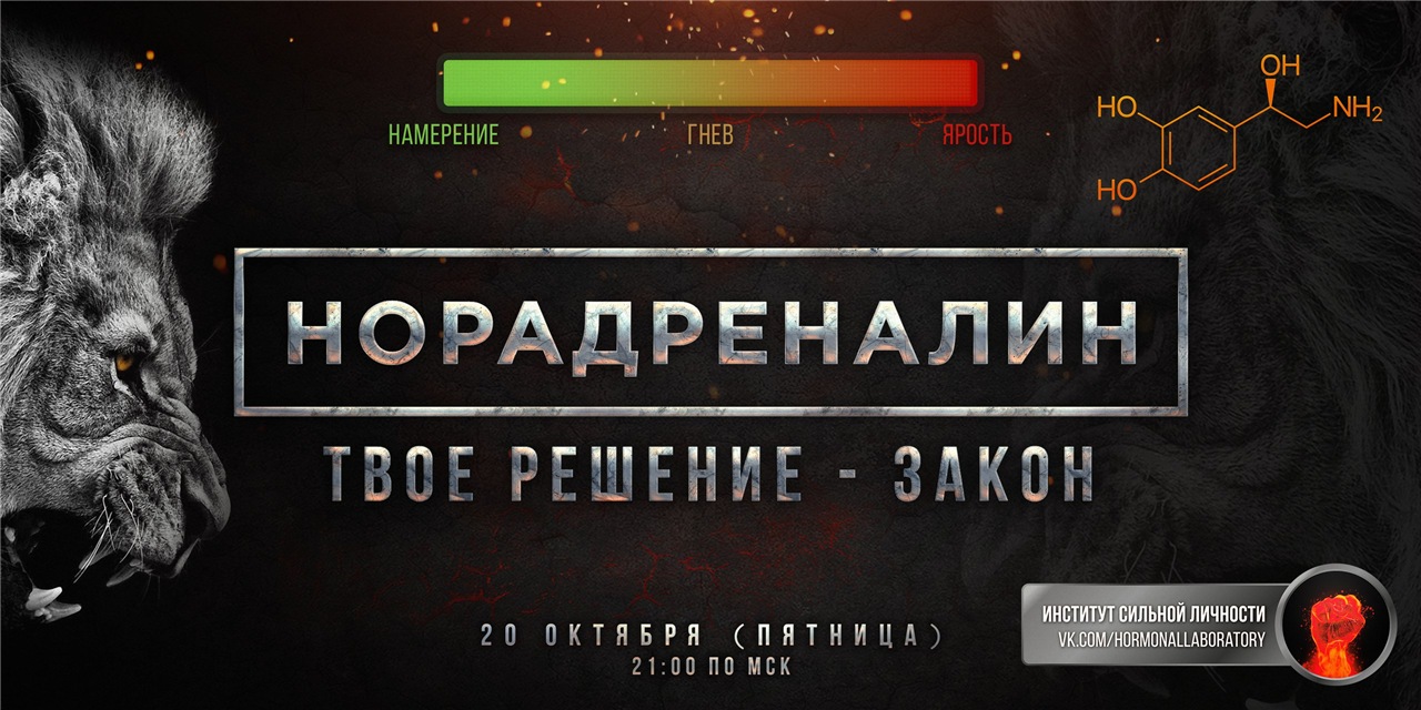 Норадреналин. Твоё решение  закон [Михаил Рысак]