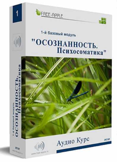 Осознанность. Психосоматика. 1-й базовый модуль [Екатерина Шморгун]