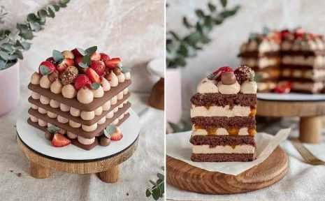 Отрытый шоколадный медовик [yanni.bakery]