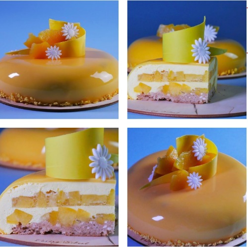 [Pastry-School] Муссовый торт Персик-манго [Елена Крохмаль]