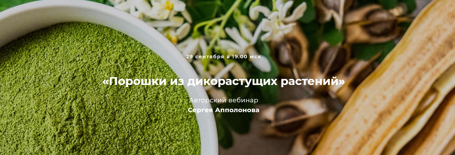 Порошки из дикорастущих растений [Сергей Апполонов]