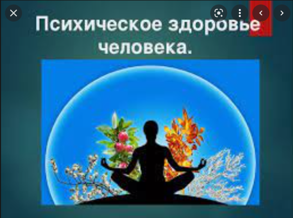 [Правое полушарие интроверта] Психология личности. Как заботиться о психическом здоровье? [Екатерина Оксанен]
