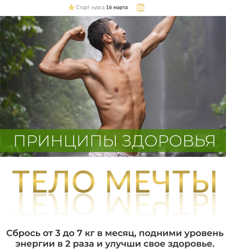 Принцип здоровья. Тело мечты. Тариф  Практика [Владимир Горохов]
