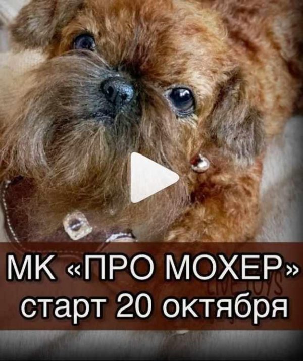 Про мохер [Юлия Бурдакова]