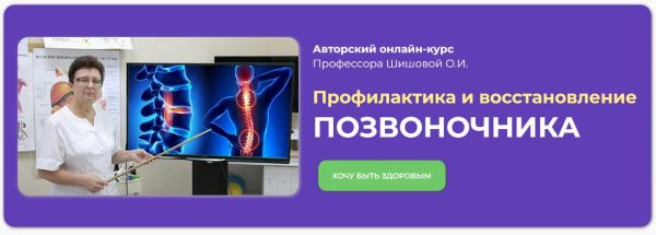 Профилактика и восстановление позвоночника [Ольга Шишова]