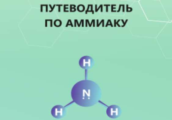 Путеводитель по аммиаку [Кристина Максимова]