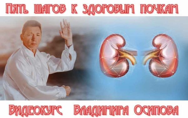 Пять шагов к здоровым почкам [Владимир Осипов]