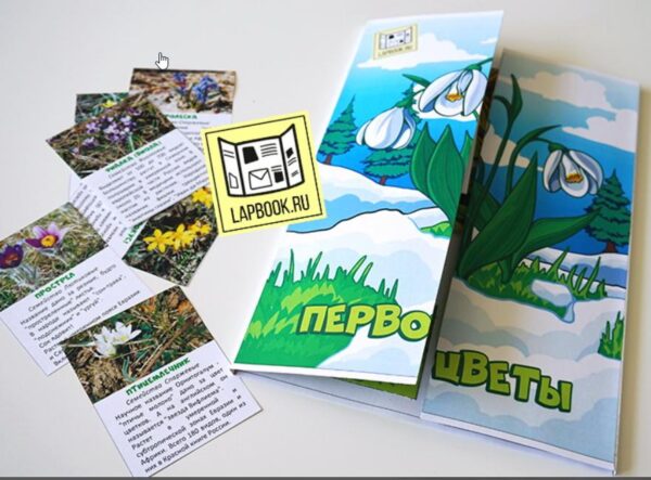 Шаблон лэпбука Первоцветы [Татьяна Пироженко]