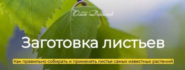 [Школа траволечения Ольги Данилюк] Заготовка листьев [Ольга Данилюк]