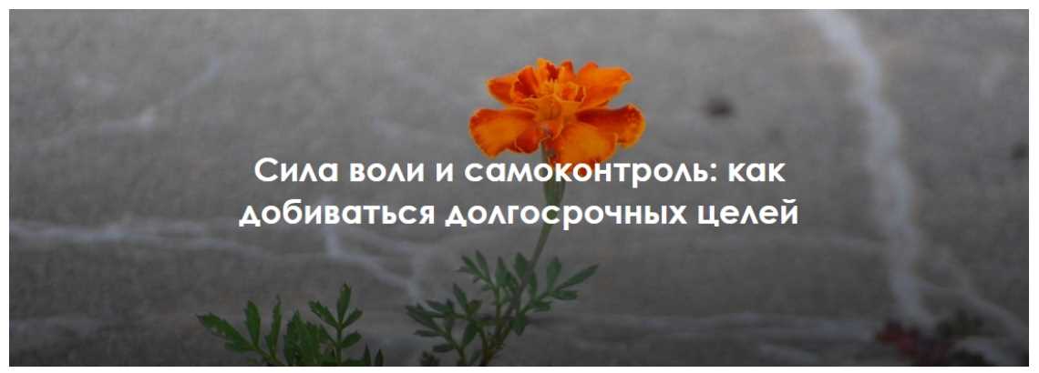 Сила воли и самоконтроль: как добиваться долгосрочных целей [Виктория Шилкина, Ирина Якутенко]