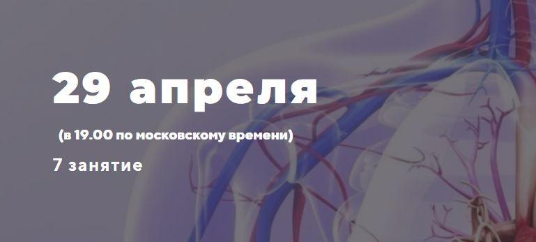 Сосудистая система. Снятие стресса с сосудов организма [Светлана Костарева]