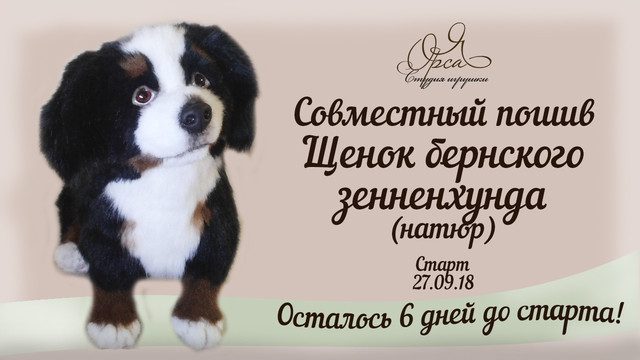 Совместный пошив Щенок бернского зенненхунда [Янина Орса]