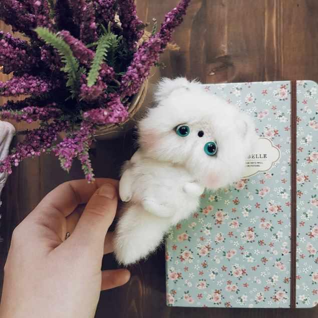 Совместный пошив Тедди Хрюшка + 2 бонуса: МК по котику и брошке [Катя Мишина]