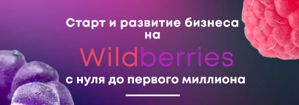 Старт и развитие бизнеса на Wildberries. Тариф Первый Миллион [Александр Меркулов]