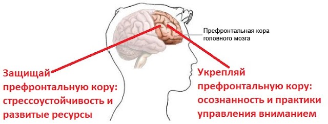 Стресс. Осознанная стрессоустойчивость [Андрей Беловешкин]