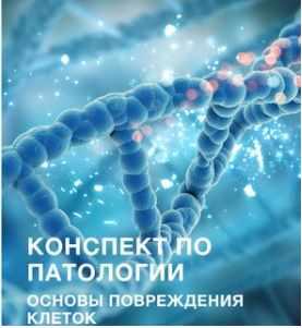 [Synapse] Конспект по патологии