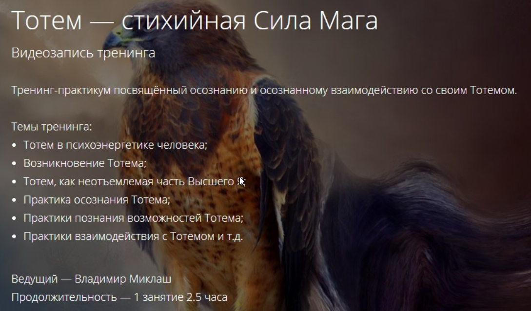 Тотем-Стихийная сила мага [Владимир Миклаш]