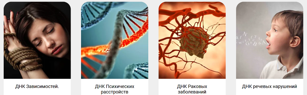 Трансформация ДНК. Весь курс  [Ольга Коробейникова]