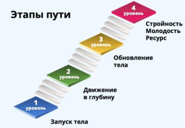 Твой путь к стройности и молодости. 6 месяц [Светлана Рахманова]