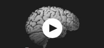 [Udemy] Хакерская дислексия, СДВГ, нейродивергентные проблемы [Пол Тилли]