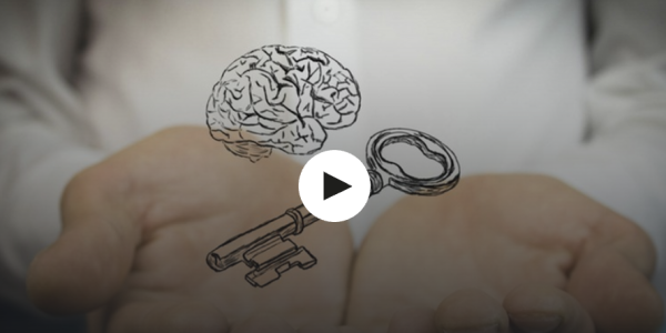 [Udemy] Управляйте своим подсознанием: скрытые секреты нейробиологии [Виендер Гоэль]