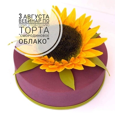 Вебинар Торт Смородиновое облако [Светлана Кошкина]