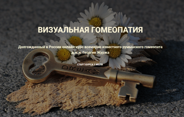 Визуальная гомеопатия. Тариф 1 занятие [Георгий Журж]