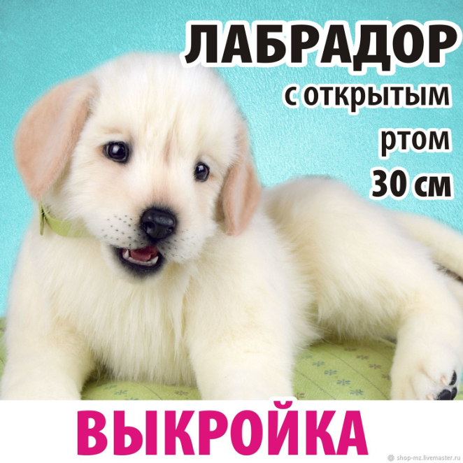 Выкройка Лабрадор с открытым ртом [Анастасия Аржаева]