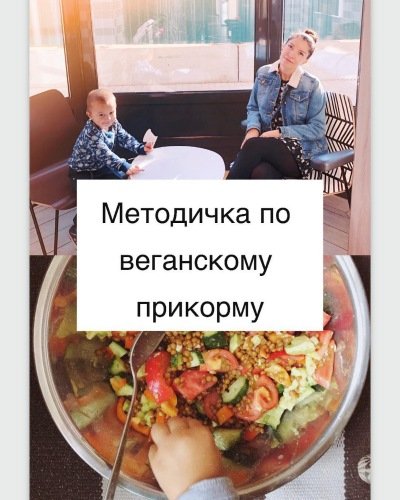 Высокая растительная кухня  Полное руководство по веганскому прикорму и питанию [Саша Гарикова]