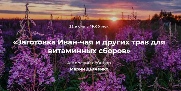 Заготовка Иван-чая и других трав для витаминных сборов [Мария Дьяченко]