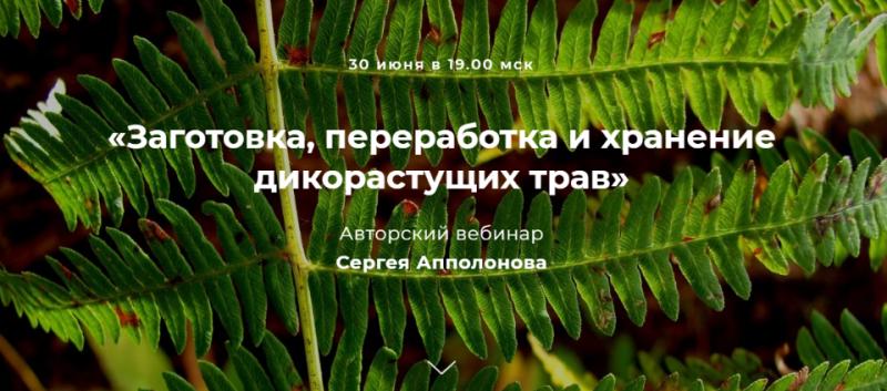 Заготовка, переработка и хранение дикорастущих трав [Cергей Апполонов]